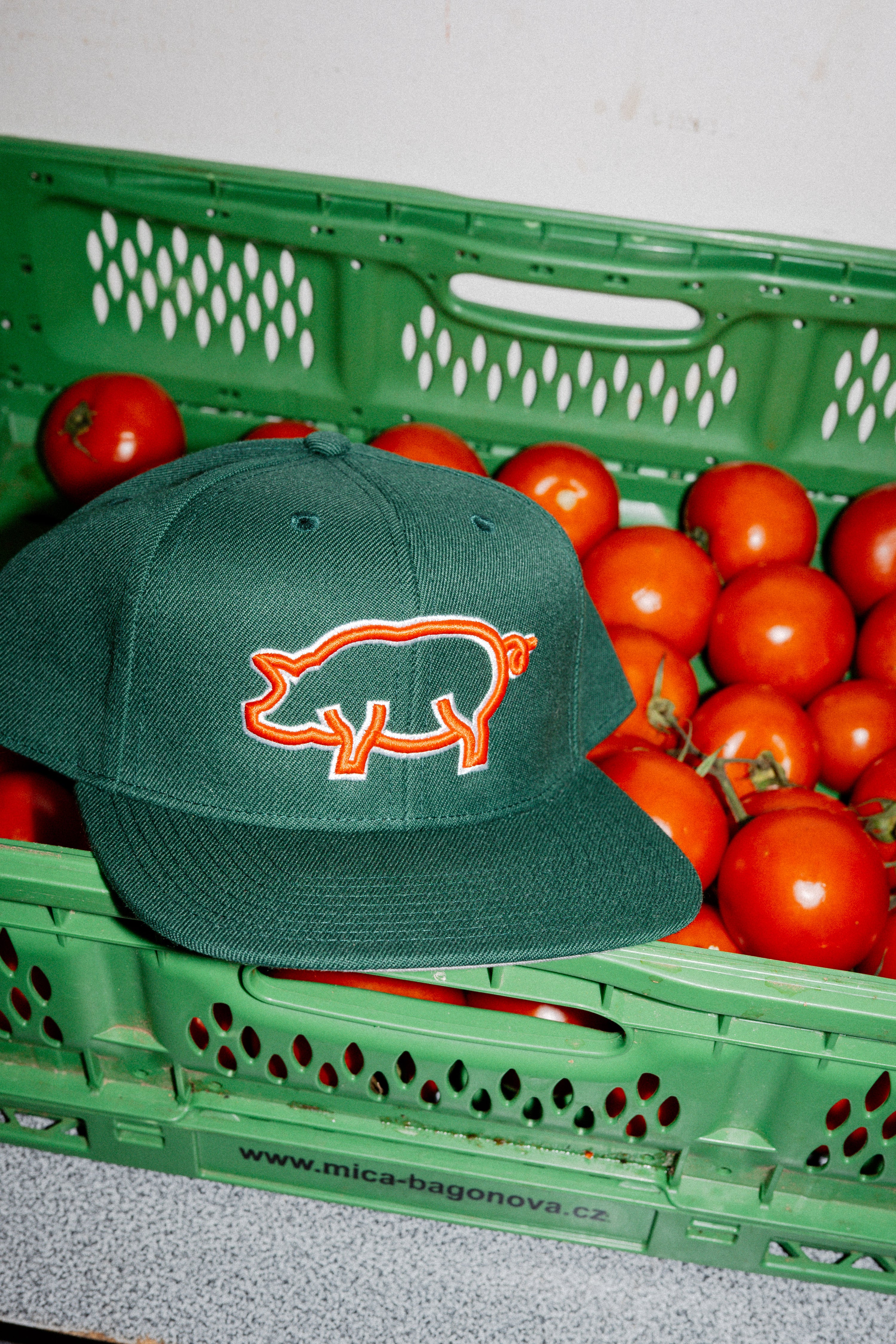 Kšiltovka “ Basil-tomato “