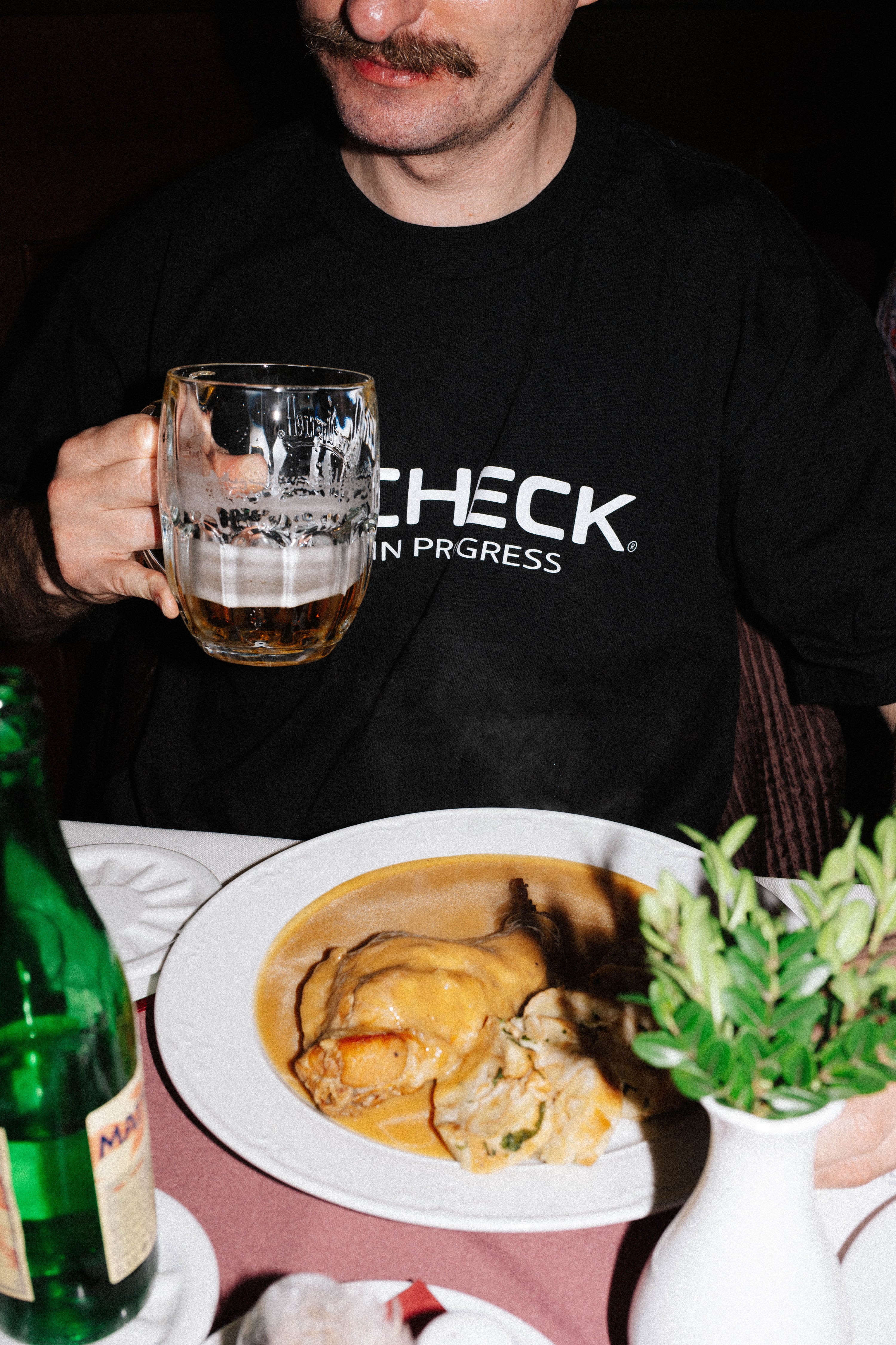 T-shirt ( pork in progress )